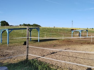 Karámtetők sorban - Nyárfa lovastanya